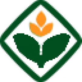 დეკორატიული ნერგები (3)