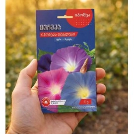 იპომეას თესლები