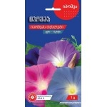 იპომეას თესლები