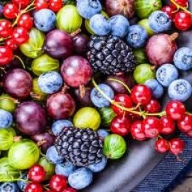 კენკროვანის ნერგები (8)